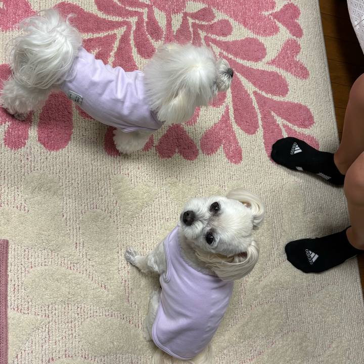 898dfbe0 073e 4ae1 87d2 49455f2e93dd 1748512224214