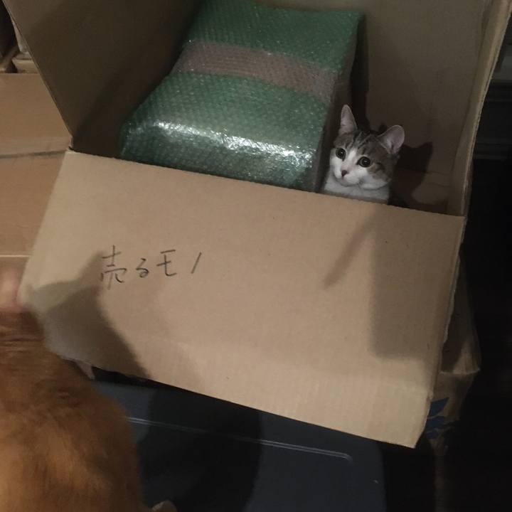 898e049a 3734 42f8 9592 a3ec7399e76a 1645457976624