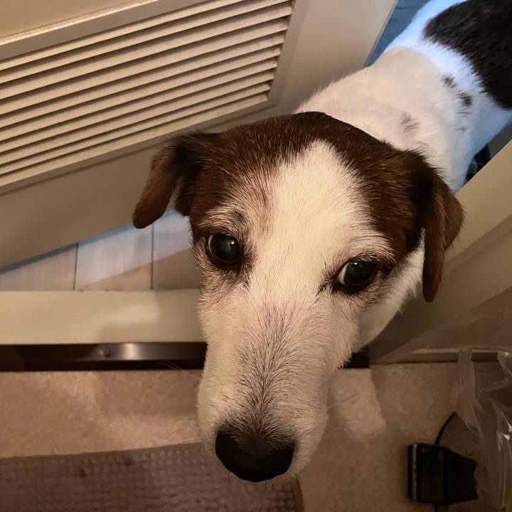 898e3feb fb85 4ca6 829c fdbc259b92f5 1764134318586