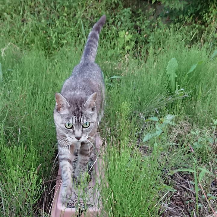 898e510c bb13 44fc 8f63 aa302fd4681b 1568279638455