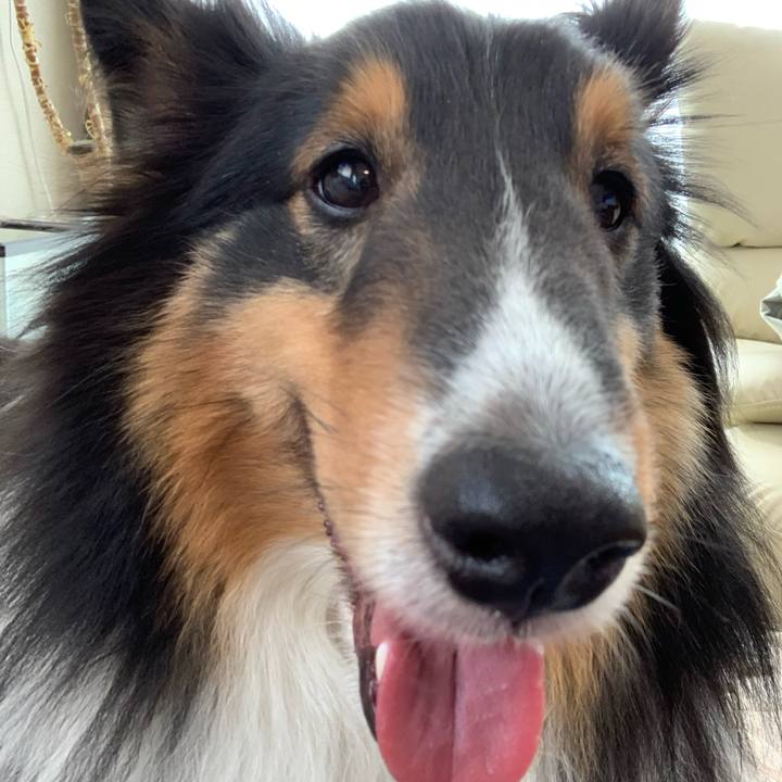 898e5243 8069 4f93 b944 e19a71eb00d0 1588975601597