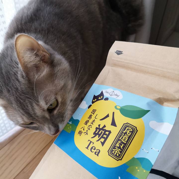 898e6534 05ae 4ab4 bf27 62d4bfaecf80 1578011338795