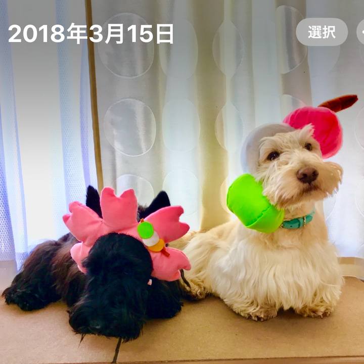 898e930e c546 41b8 8efa d0e69bffe2f1 1615774001301