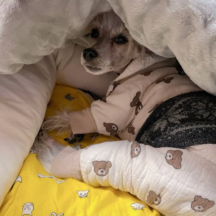 898f08d1 df39 49ba a620 a1310a37c622 1764987578957