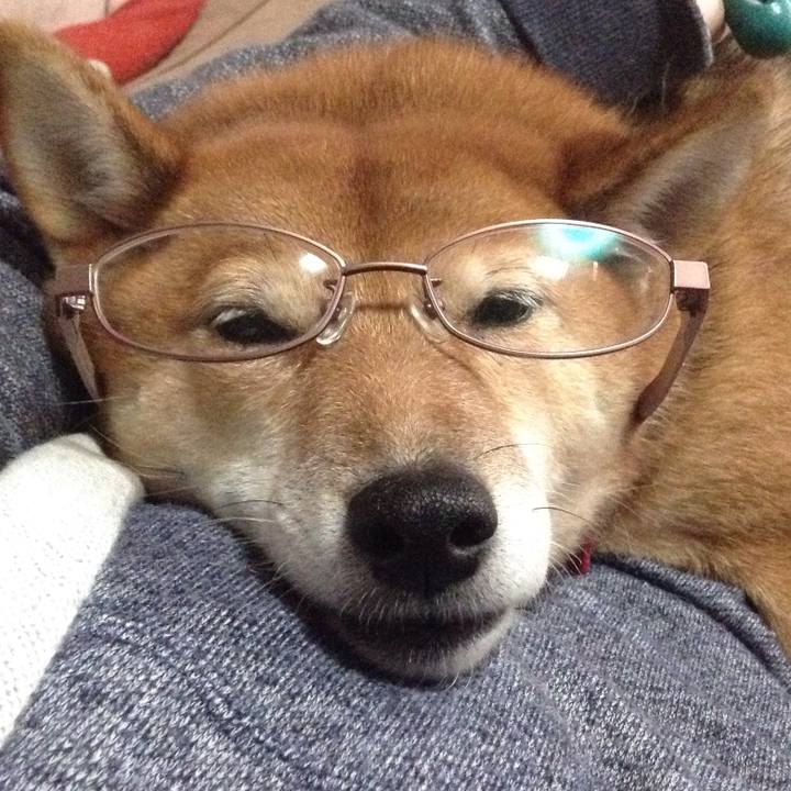 898f16a9 e3c0 46c1 ac55 1645669e33a1 1508888746790