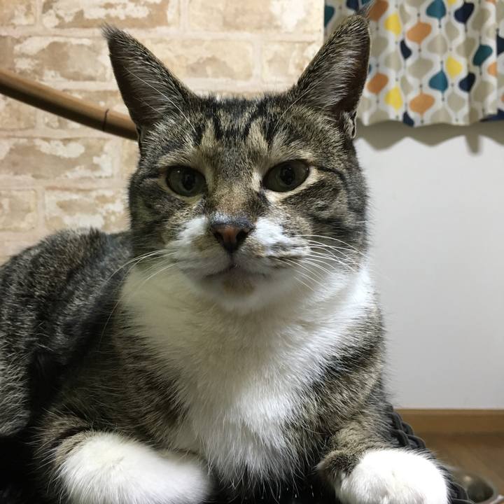 898f4d3c ade4 4381 ac21 84e78e75164c 1520336130206