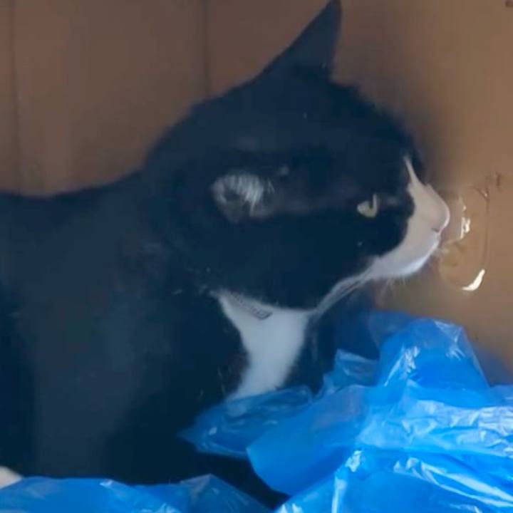 898f74b3 4c43 498e b01e 0f34a8a8332a 1729144785563