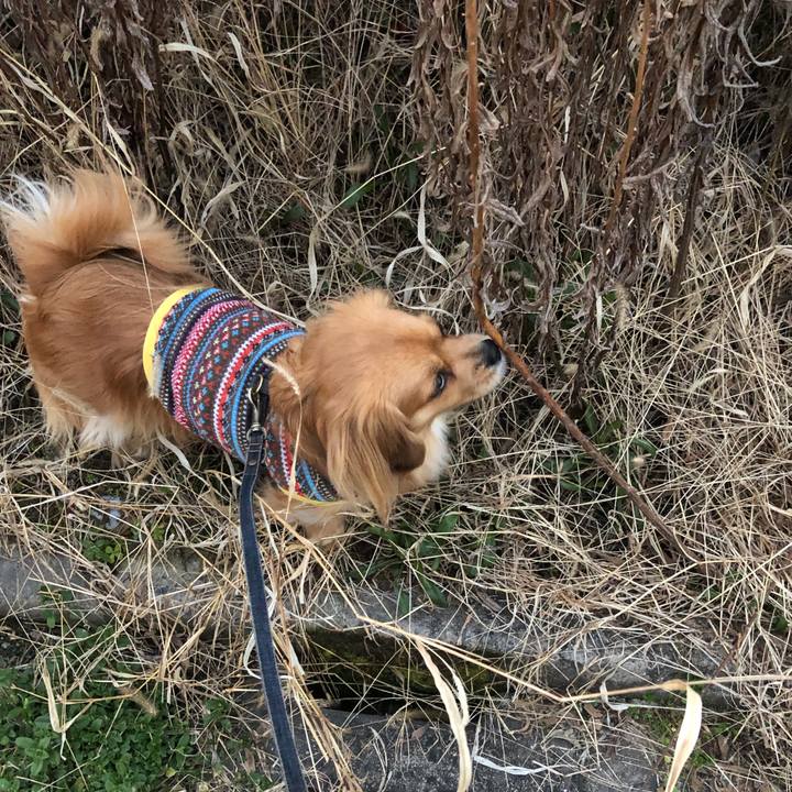 898f92e8 d3d7 4d02 8d2a abc89acaaf4f 1550700772723