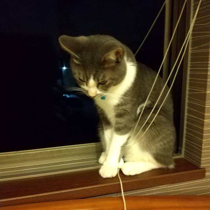 89901709 7f4b 49b7 84da e3adf8c45dda 1598969087529