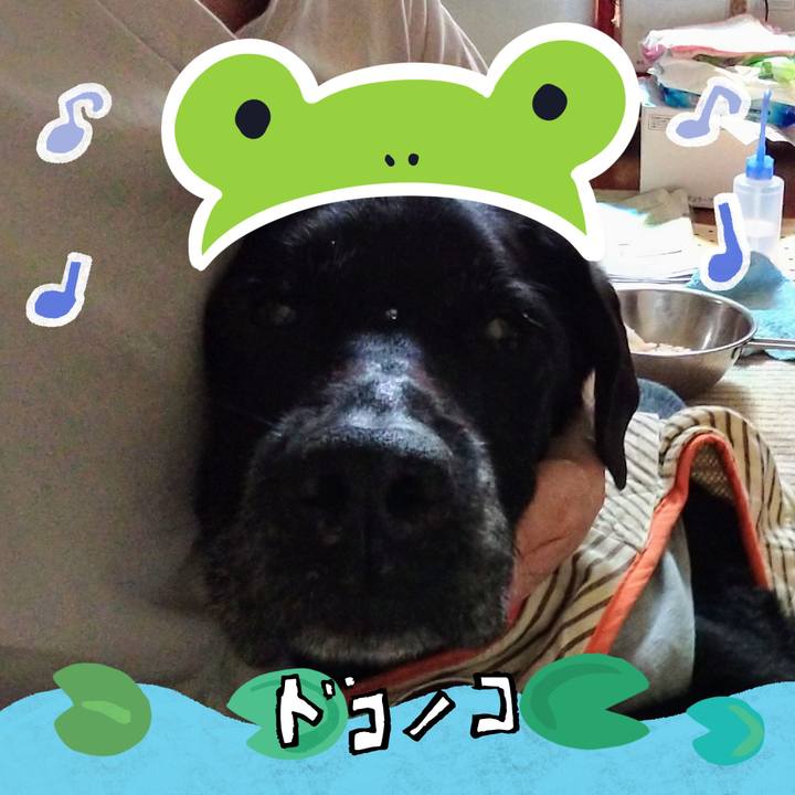 89907649 2e1f 48ed 9c5f e404042c4b9b 1717560413306