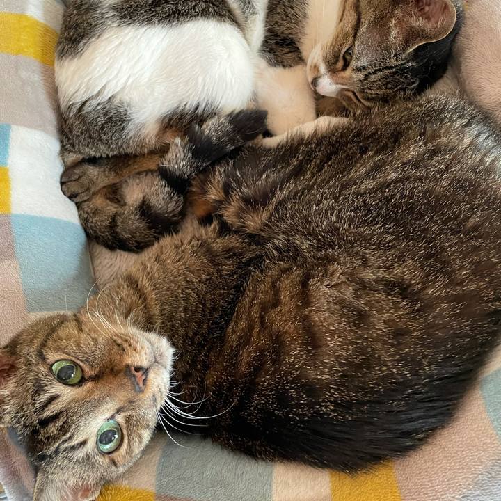 89908a31 db97 4672 b55f c199293bfa5e 1625017677084