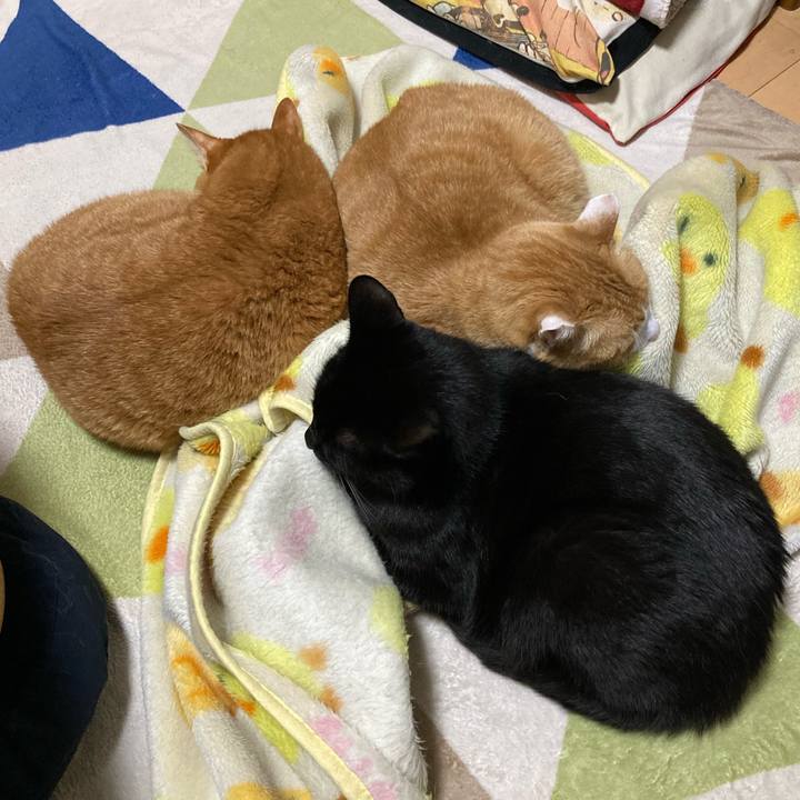 89909780 363b 47b0 be9b 20ae0e267e6a 1768571987428