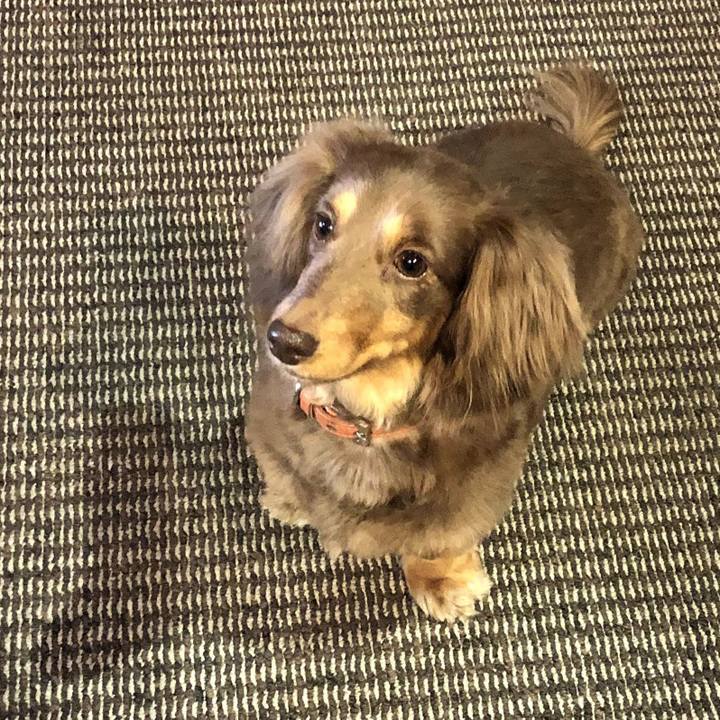 8990b27b 65af 4855 8929 b4c9d3185a02 1588136177948