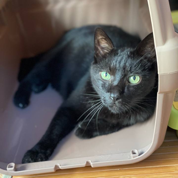 8990be73 ec1c 4802 8092 c1d2643f3336 1663290871254