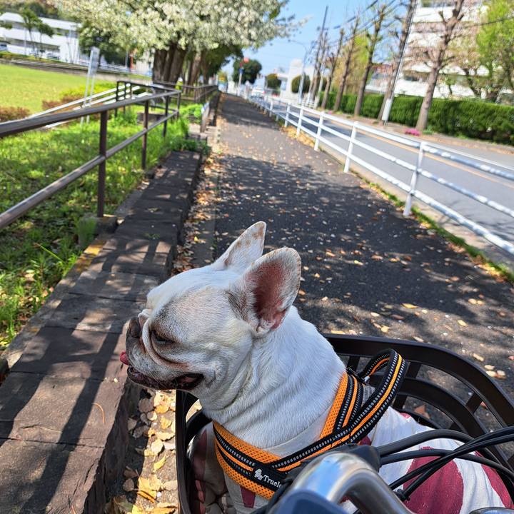 8990d1b3 71de 446a b953 7e6ec55474a5 1713063716678