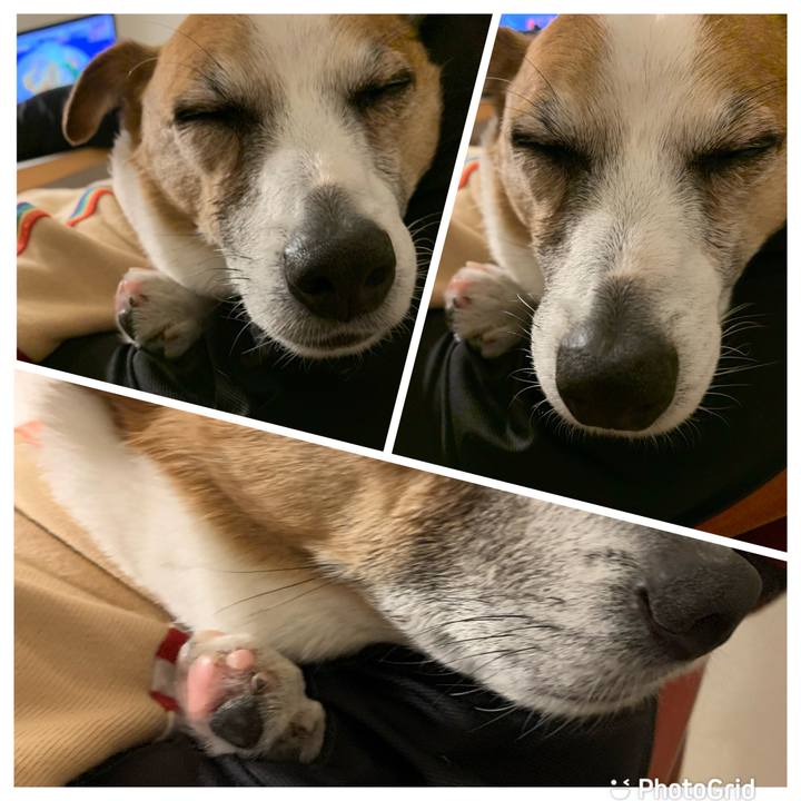 8990f71d e3c7 41d8 b632 38f176289ff6 1645268533377