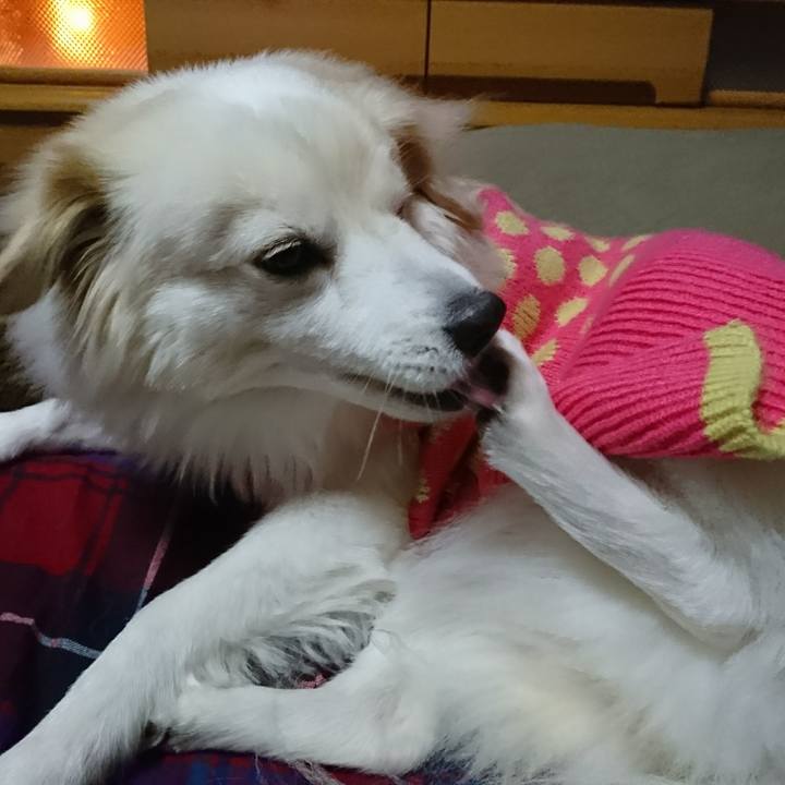 899112b2 5acd 4966 8ab6 3b460fe5fb39 1514408954365