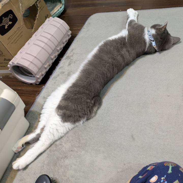 89912636 e11d 47c7 88ec 129cdd04b3f3 1757030120675