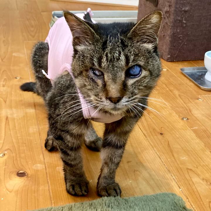 8991337b 4a44 4f12 9fb5 d6f40b3ff730 1685610902312