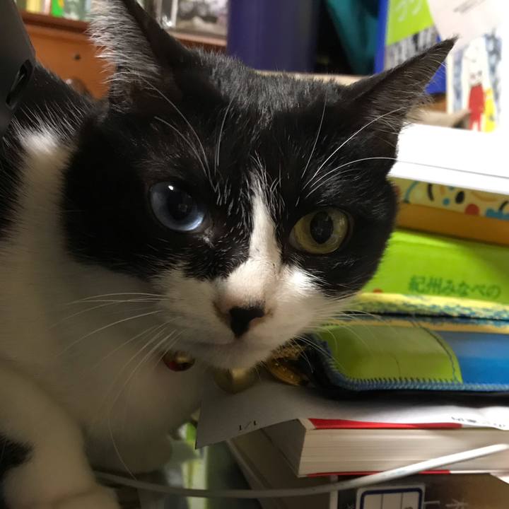 8991361a 94b9 4116 9375 6c5ae564f39d 1580481385087