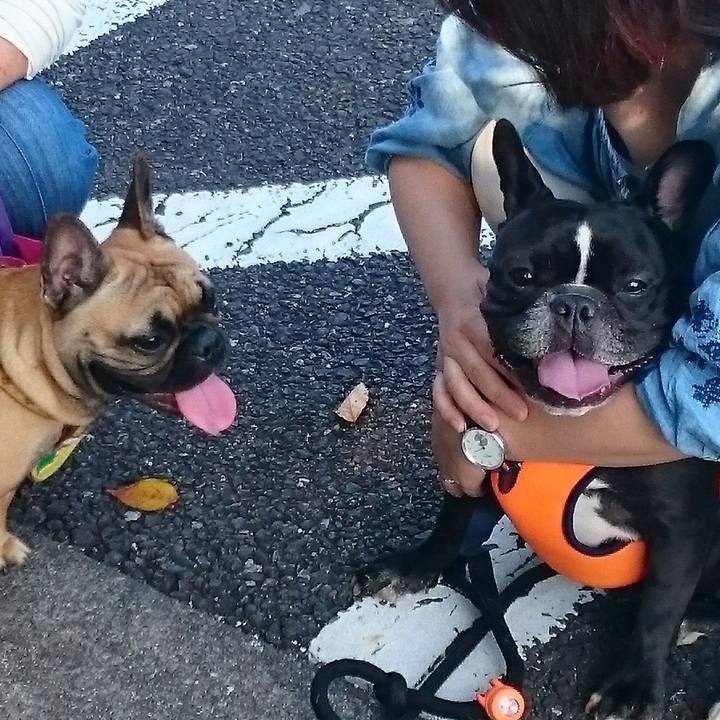 89913ace 9873 4895 90e4 ed6c1e1294e3 1507536066998