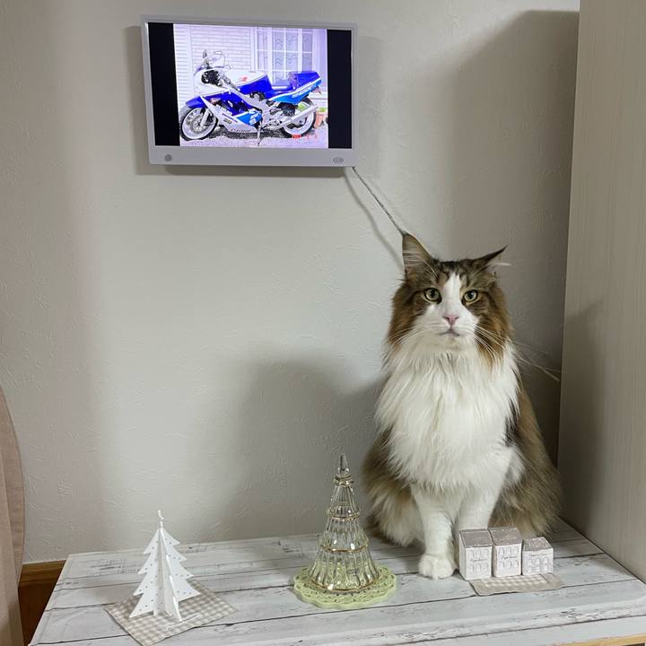 89914feb c24d 443c 8f39 22220e96e463 1703359372451