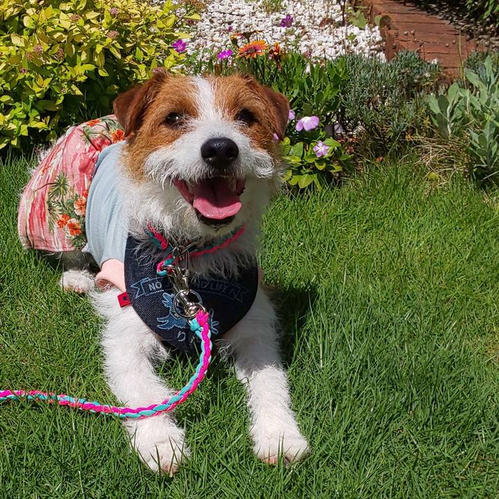 899173a8 8b05 4806 bec9 26c656f29e4f 1560729924911