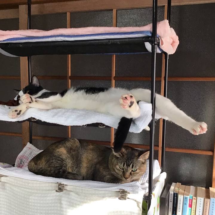 8991845c 1aba 42ab 813f 40fd41605797 1643329288773