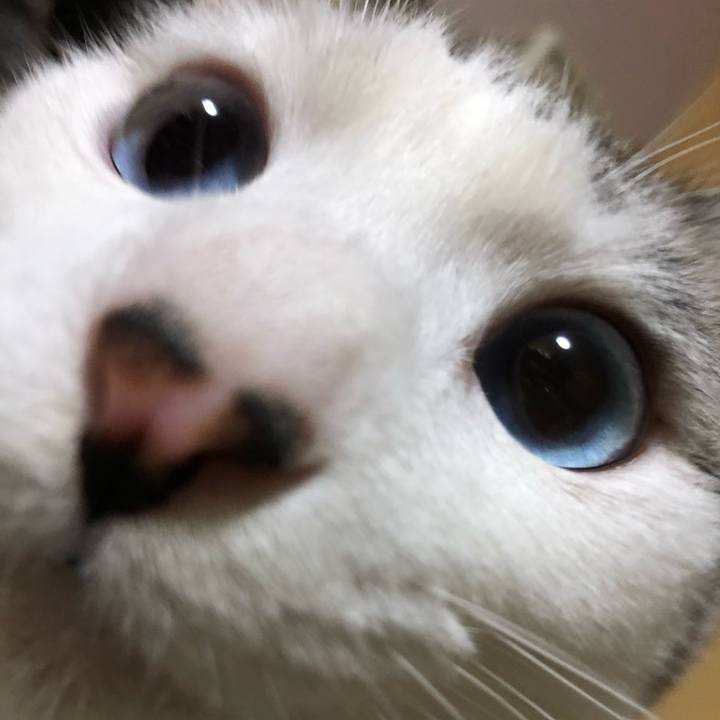 89918610 353f 40db a2da a0aa10df77f2 1578807701020