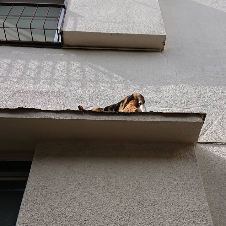 899196de c72a 482e 8dd3 ce02b0bc990d 1626390967967