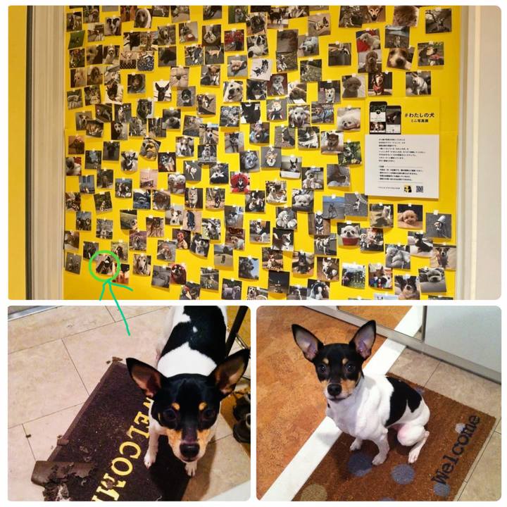 89925901 6eda 4206 9cea 405d86fe8e2f 1773969734705