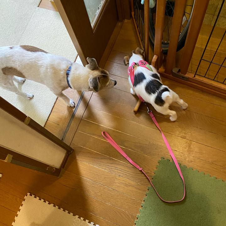 89926627 270d 4f3c b87e 91e8a35c3892 1611443276249