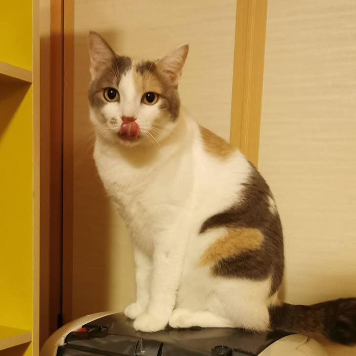 8992685d 4d73 448a 9a48 a5c58f70e9ca 1635391468933