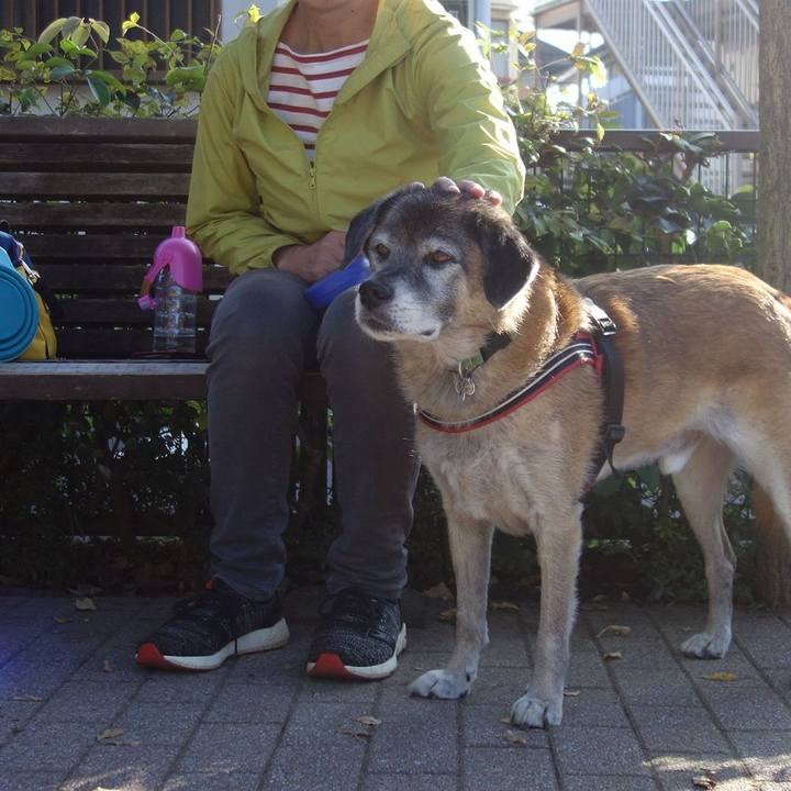 8992ba55 0bb2 47fe a2e4 117035acdc2a 1572567676821