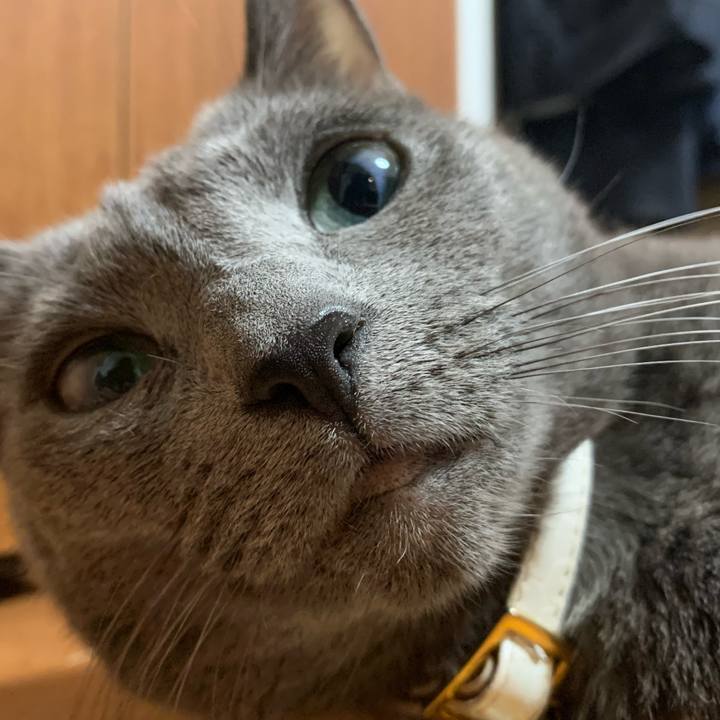 8992d381 1fc8 4b52 81df 9e7dcbd54660 1665813880330