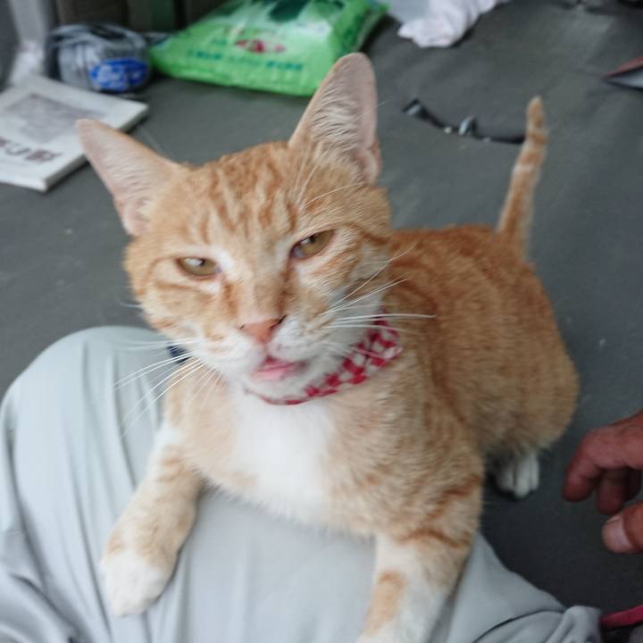 8992d7c7 bf77 4a26 a2f2 689f003541b6 1560764419622