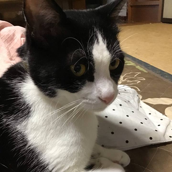 8992dafb 5d80 4b13 aae8 c804f475c378 1651138488999