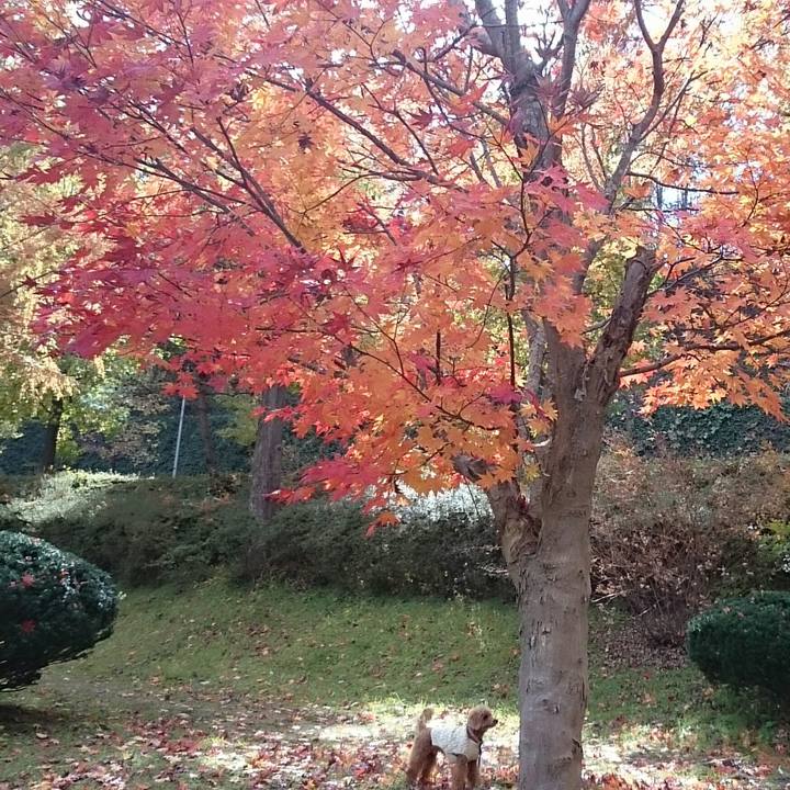 8992fff0 f78b 411b 8384 285c52ea3e01 1510450578648