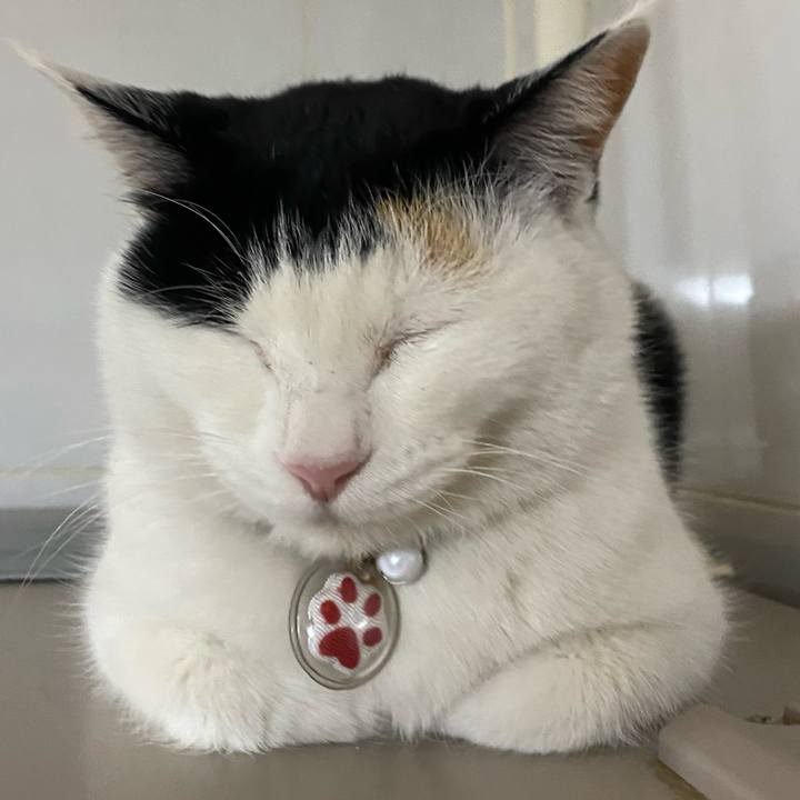 89930d79 3b3d 4965 9746 182be55166e9 1643123268525