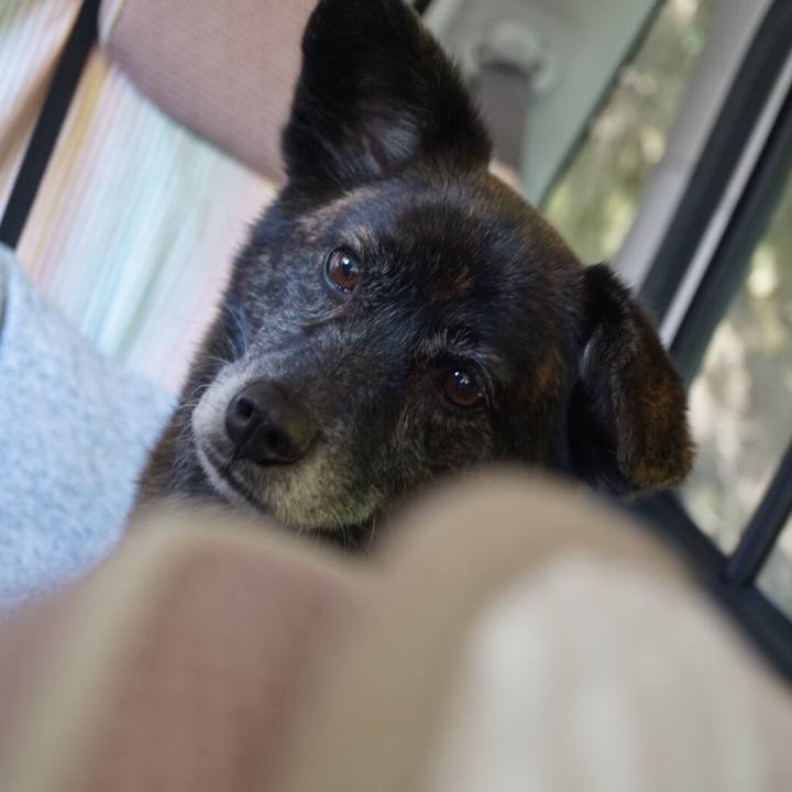 899321b5 455d 4736 be2a f7fa5492edc8 1585993087737