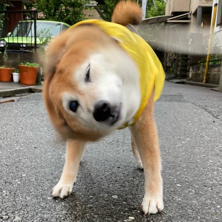 89933ce6 d1d2 4e15 b9cd 1bba02d5318d 1725004246243