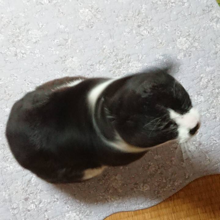 89936ab3 8685 4fb0 b4e7 ff7e06348a53 1616592817063