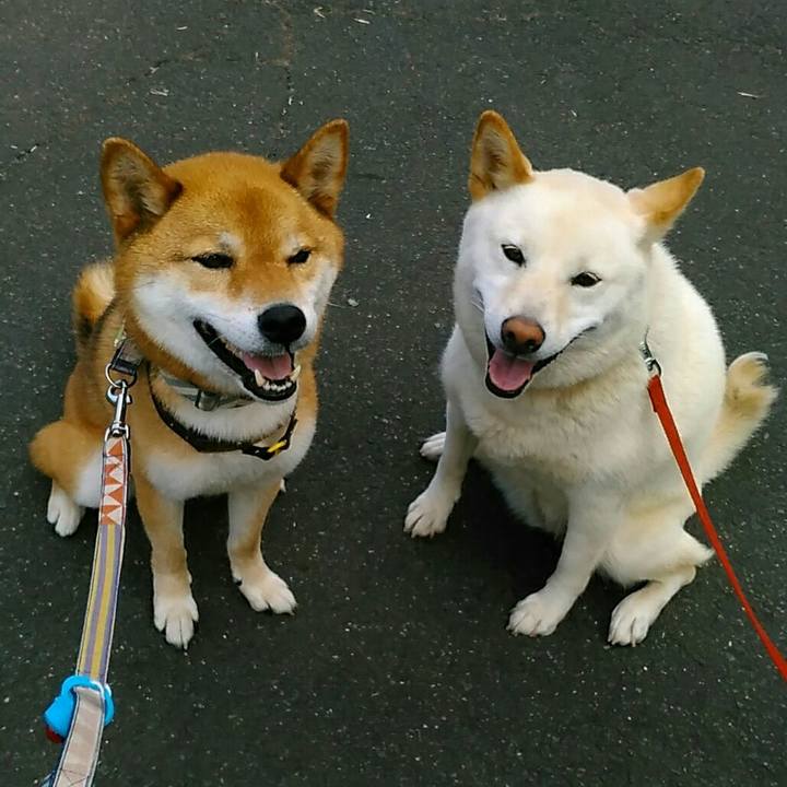 899391ed a4dd 48e7 88a7 b571d3b18501 1562744261329