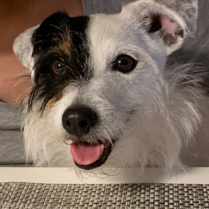 8993a1ef 2d02 4c78 823c c6c1812ec611 1591611198628