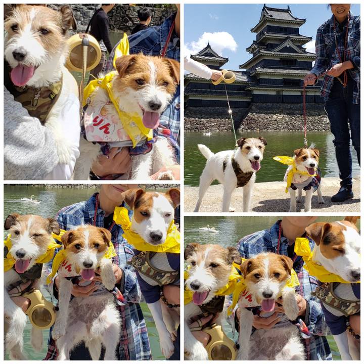 8993b735 6ec8 49d2 aebe 8f3c54ce73c7 1556769091994