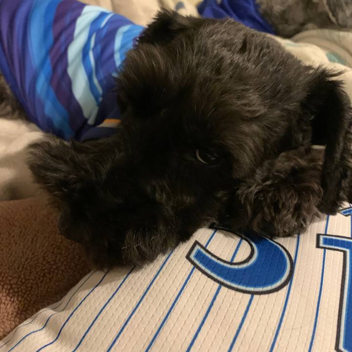 8993c14b 82f3 4293 b527 e2e0376c9ab6 1599384430620