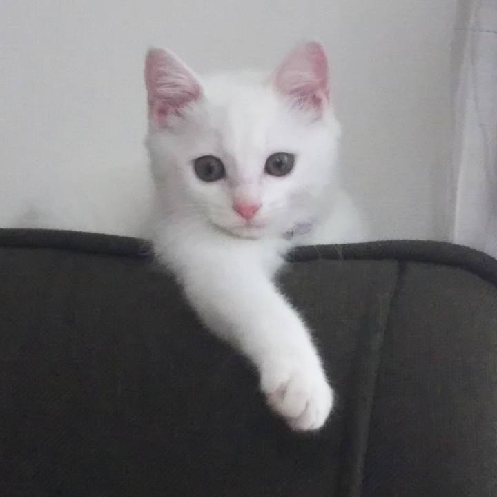 8993c51e 4898 4a1c 81c1 68898568851f 1645919845462