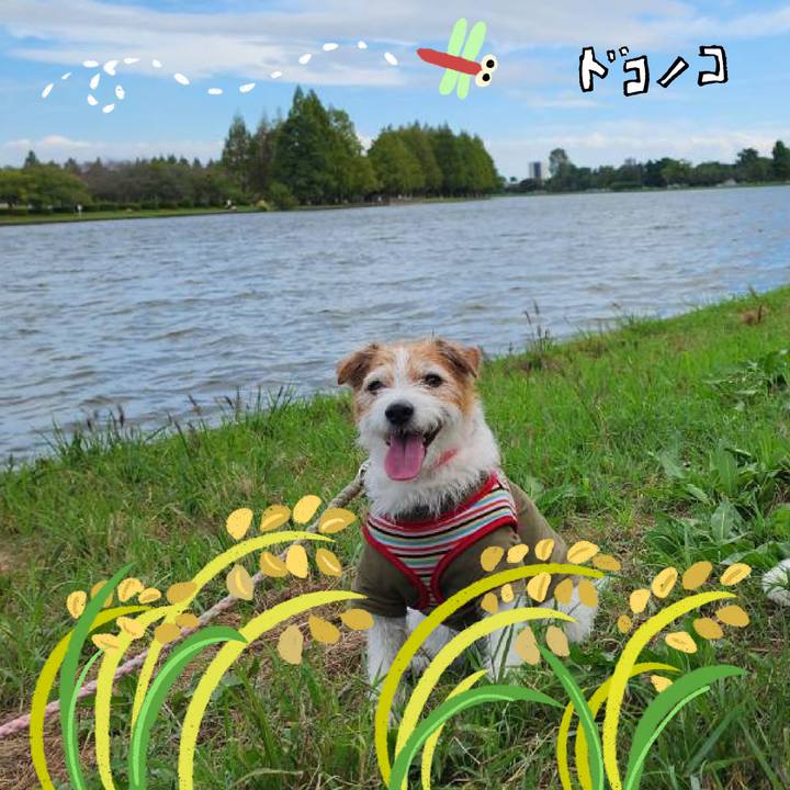 8993d5c7 5126 4777 97d2 7d8be8267425 1761263988023