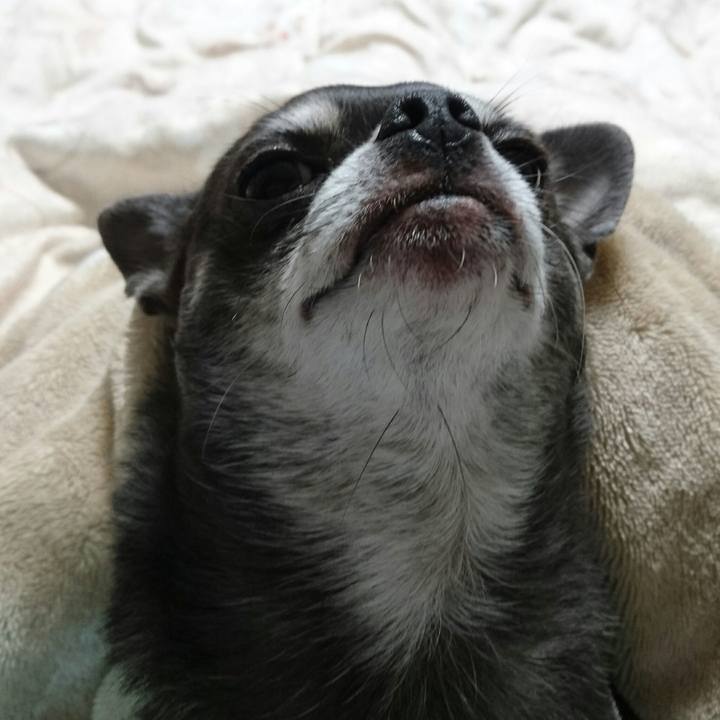 8993e7e4 f035 4744 baaa 203ddc0be40d 1544235673269