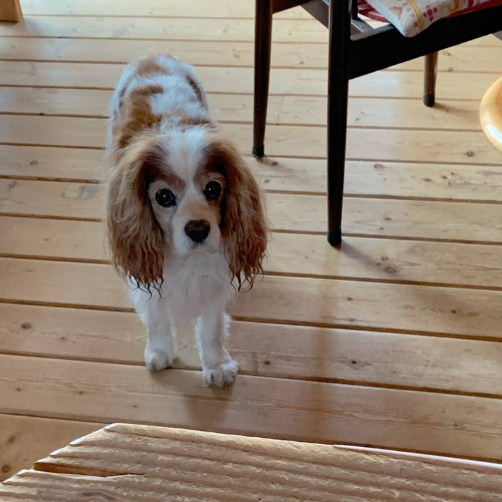 89940278 0d41 43f8 a99b 93ca93f5c08d 1618953276590